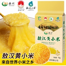 赤川24年新米金苗K1敖汉小米2斤真空装 黄小米五谷杂粮粗粮小米粥