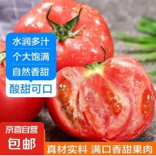 家庭装 4斤 净重 新鲜沙瓤大番茄生吃西红柿减肥减脂早餐即食新鲜蔬菜生鲜