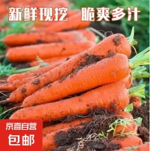 京喜加新鲜胡萝卜当季农家自种萝卜脆爽多汁水果蔬菜 新鲜胡萝卜 2斤 带箱