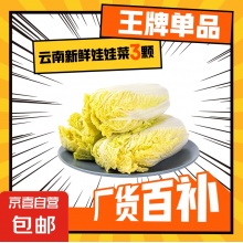 云南高原娃娃菜新鲜蔬菜生鲜乾隆白菜早餐火锅必备产地直发 浅黄色 新鲜娃娃菜3颗装*1包
